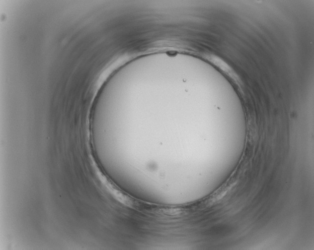 X0000066021431200603241524