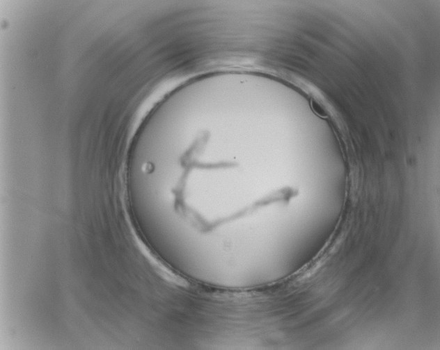 X0000066021432200603241524