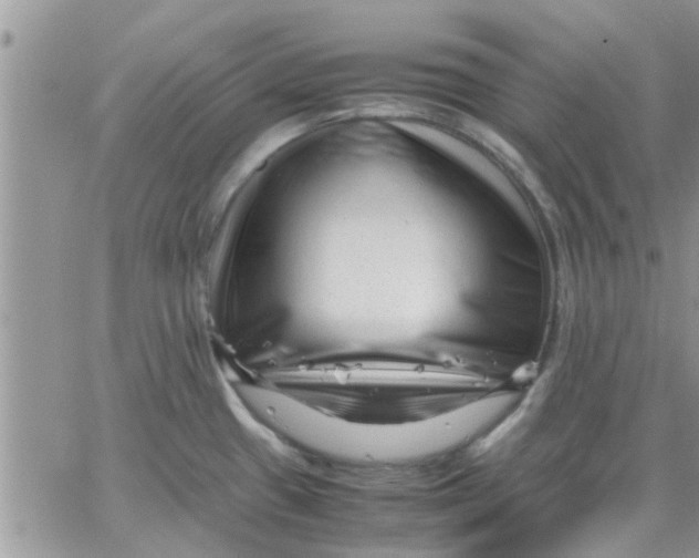 X0000066021433200603241524