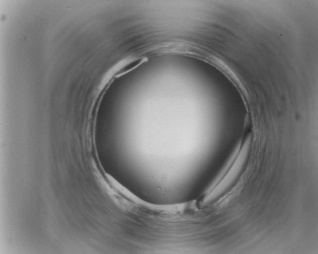 X0000066021434200603241524