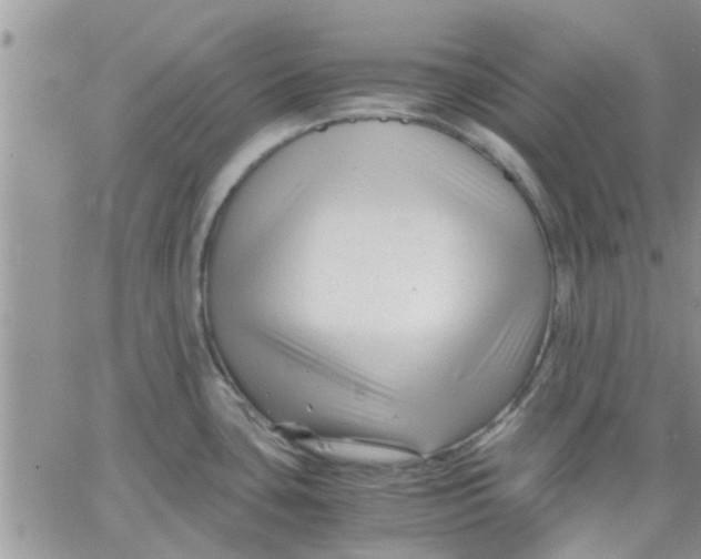 X0000066021435200603241524