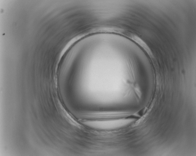 X0000066021436200603241524