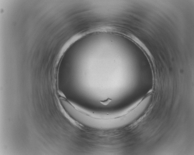 X0000066021437200603241524