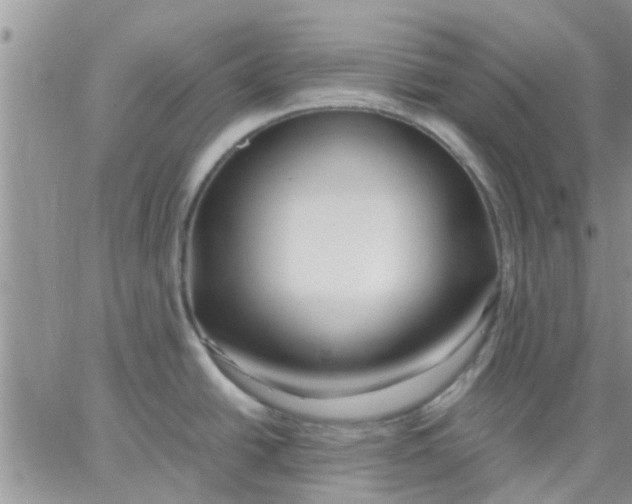 X0000066021438200603241524