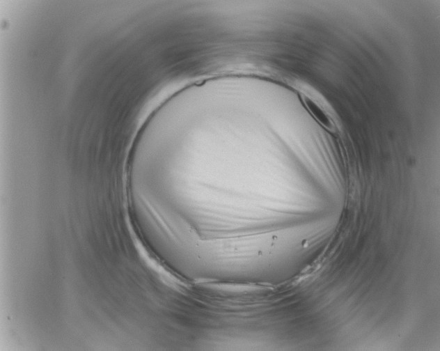 X0000066021439200603241524