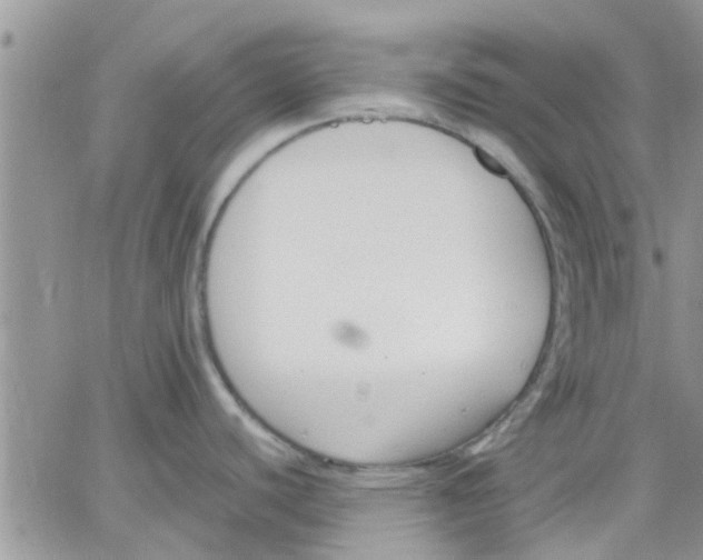 X0000066021440200603241524