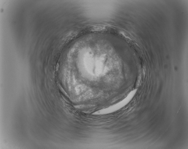 X0000066021441200603241523