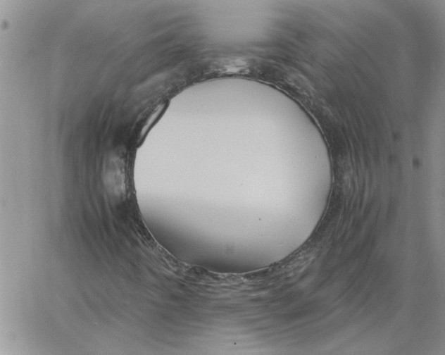 X0000066021442200603241523