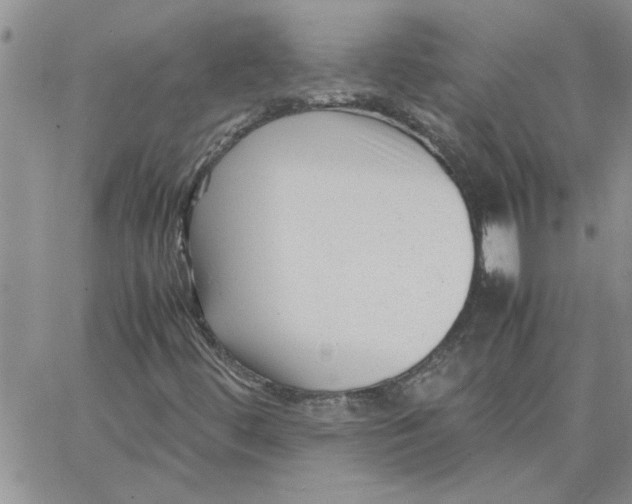 X0000066021444200603241523