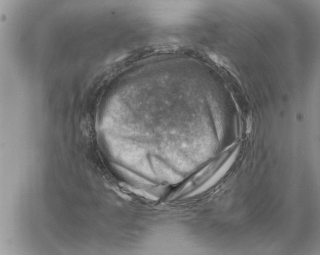 X0000066021445200603241523