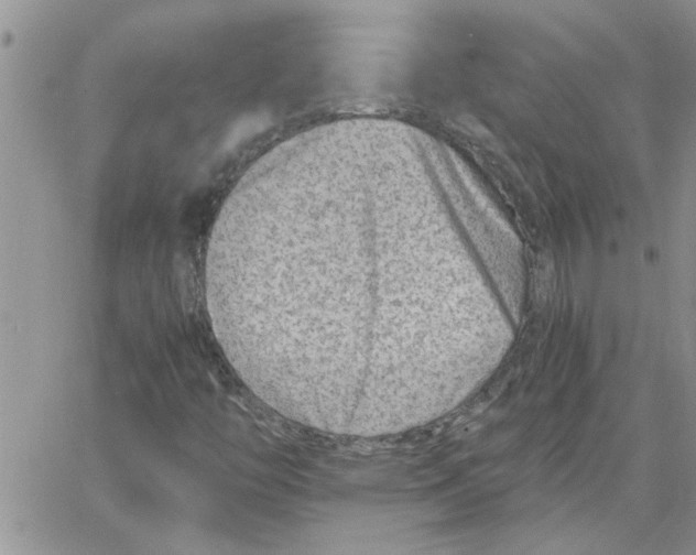 X0000066021446200603241523