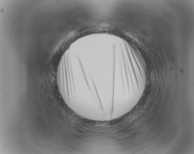 X0000066021447200603241523