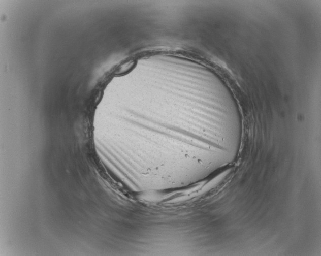 X0000066021448200603241523