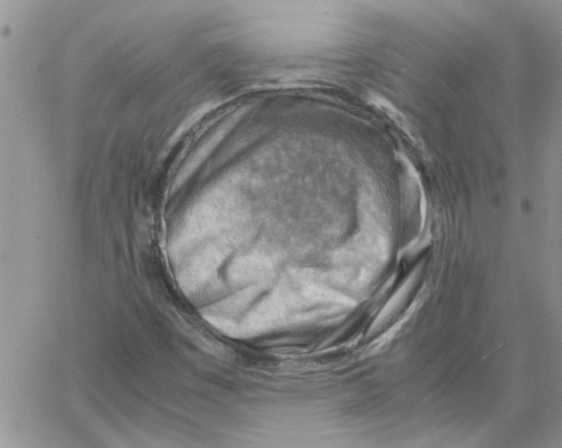 X0000066021449200603241523