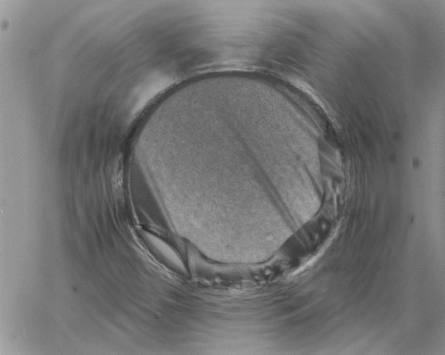 X0000066021450200603241523