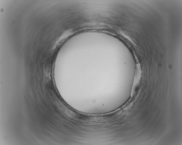 X0000066021451200603241523