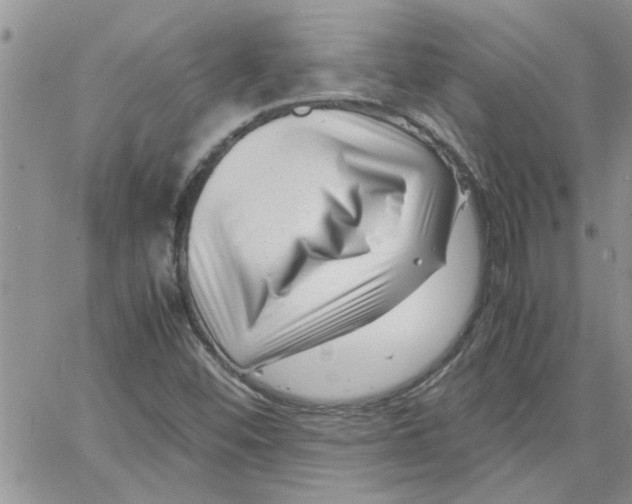 X0000066021452200603241523