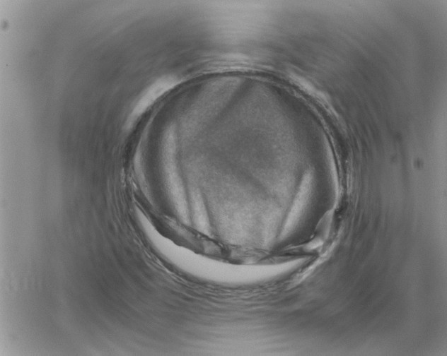 X0000066021453200603241523