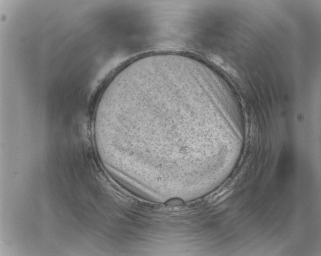 X0000066021454200603241523