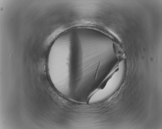 X0000066021455200603241523