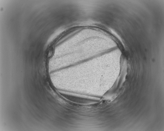 X0000066021456200603241523