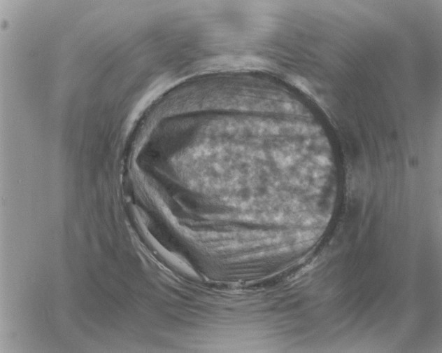 X0000066021459200603241523