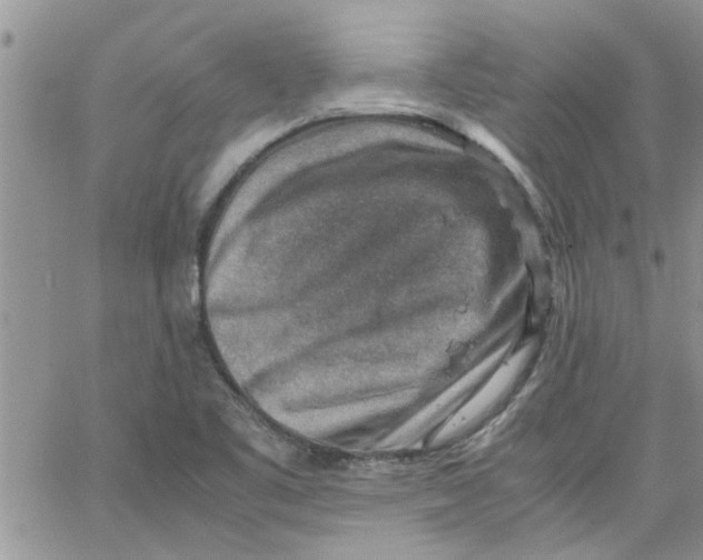 X0000066021461200603241523