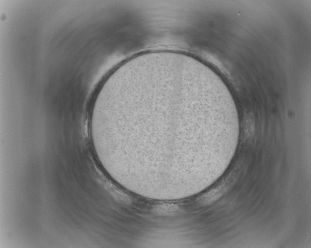 X0000066021462200603241523