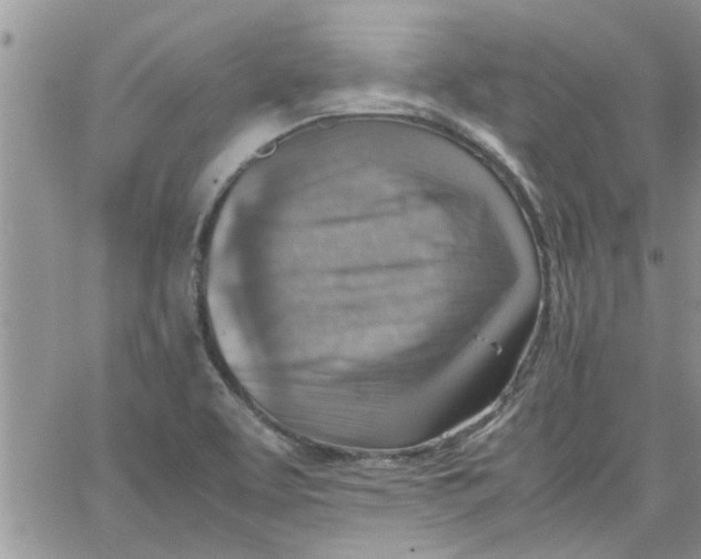 X0000066021463200603241523