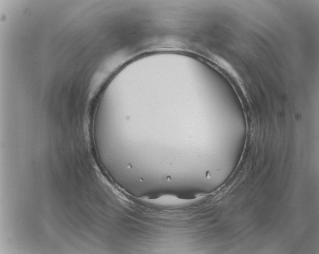 X0000066021464200603241523