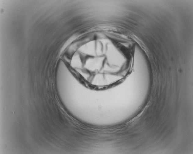 X0000066021465200603241523