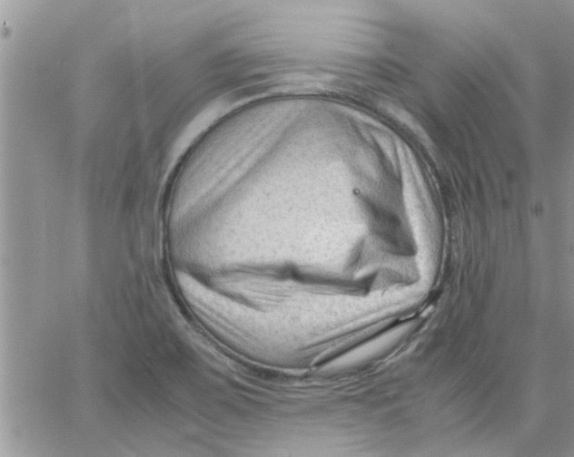 X0000066021467200603241523