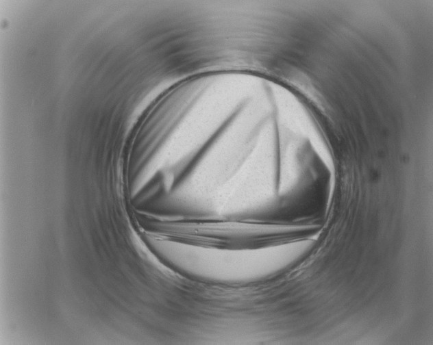 X0000066021468200603241523