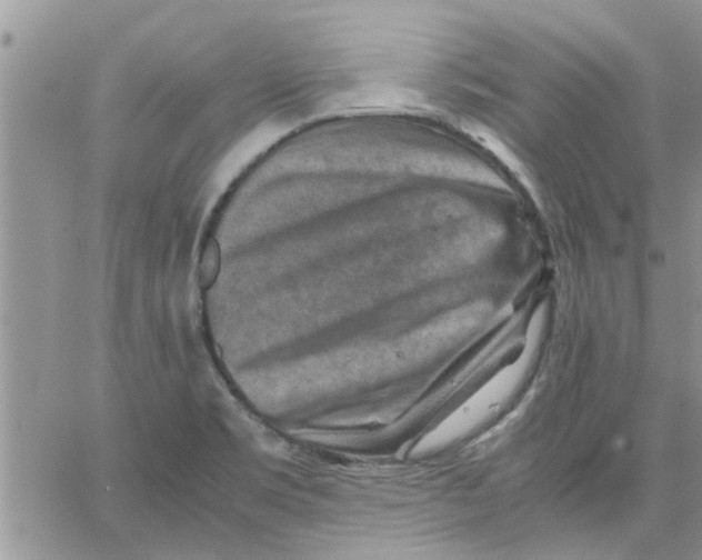 X0000066021469200603241523