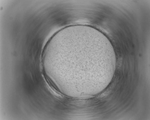 X0000066021470200603241523