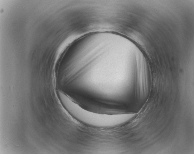 X0000066021472200603241523