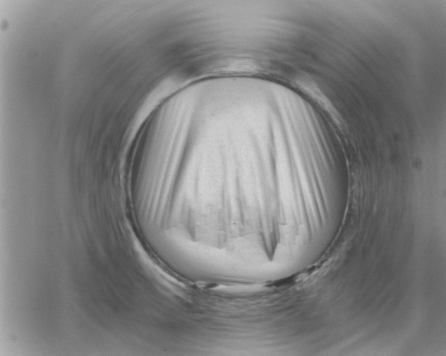 X0000066021475200603241523