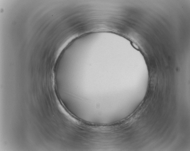 X0000066021476200603241523