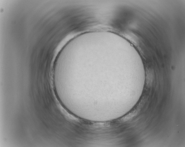 X0000066021478200603241523