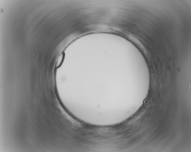 X0000066021479200603241523