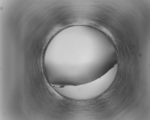 X0000066021480200603241523