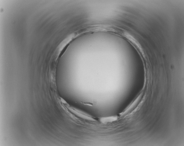 X0000066021481200603241523