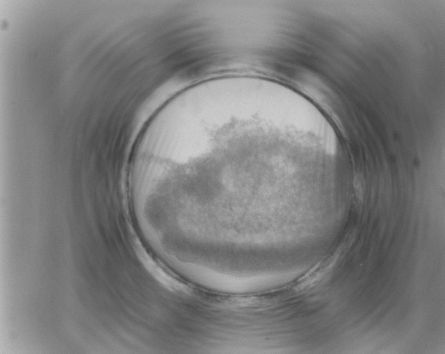 X0000066021482200603241523