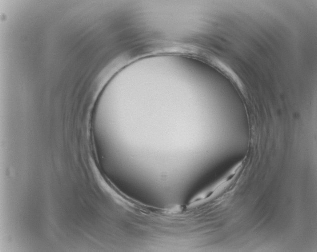 X0000066021483200603241523