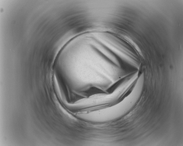 X0000066021484200603241523