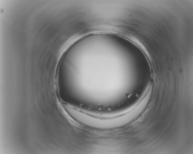 X0000066021485200603241522