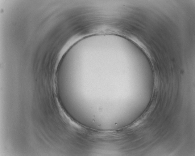 X0000066021486200603241522