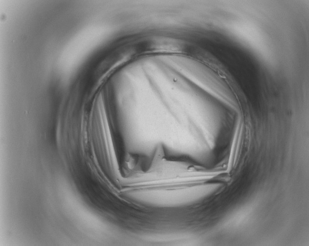 X0000066021487200603241522