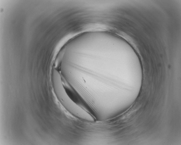 X0000066021488200603241522