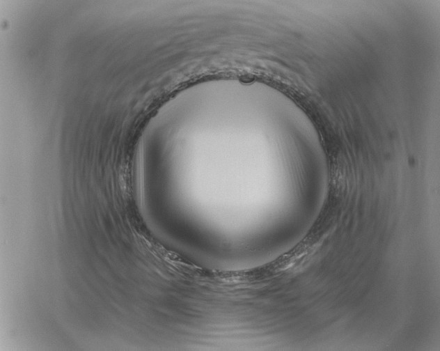 X0000066021490200603241522